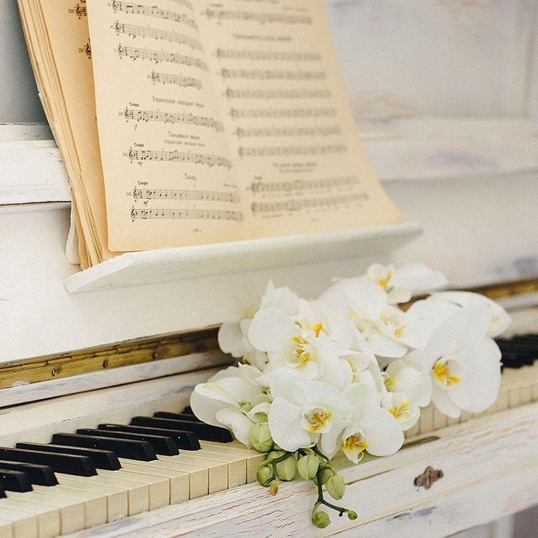 Елагинские вечера. Концертная программа "Лики романтизма"