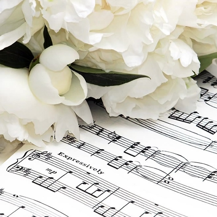 Елагинские вечера. Вечер вокальной музыки