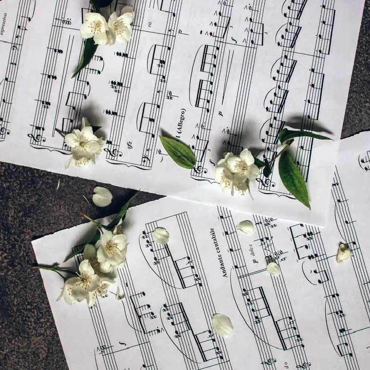 Елагинские вечера. Вечер камерной и фортепианной музыки "О весне и любви"