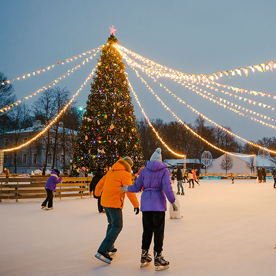 Большой каток Елагина острова открывает сезон с 01 декабря 2025 г.