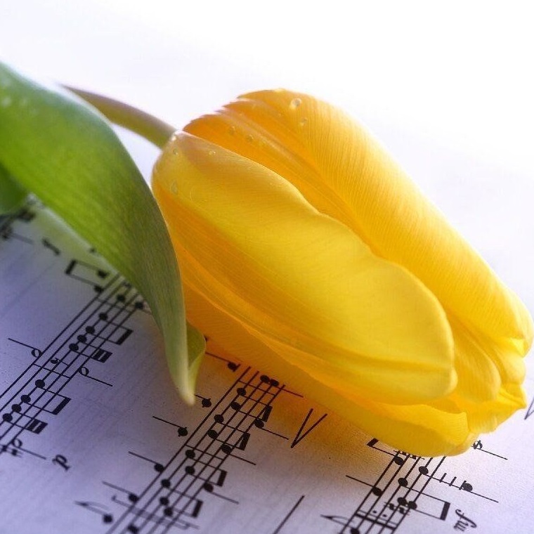 Елагинские вечера. Гармония чувств. Концерт творческого объединения "Voce Dolce"