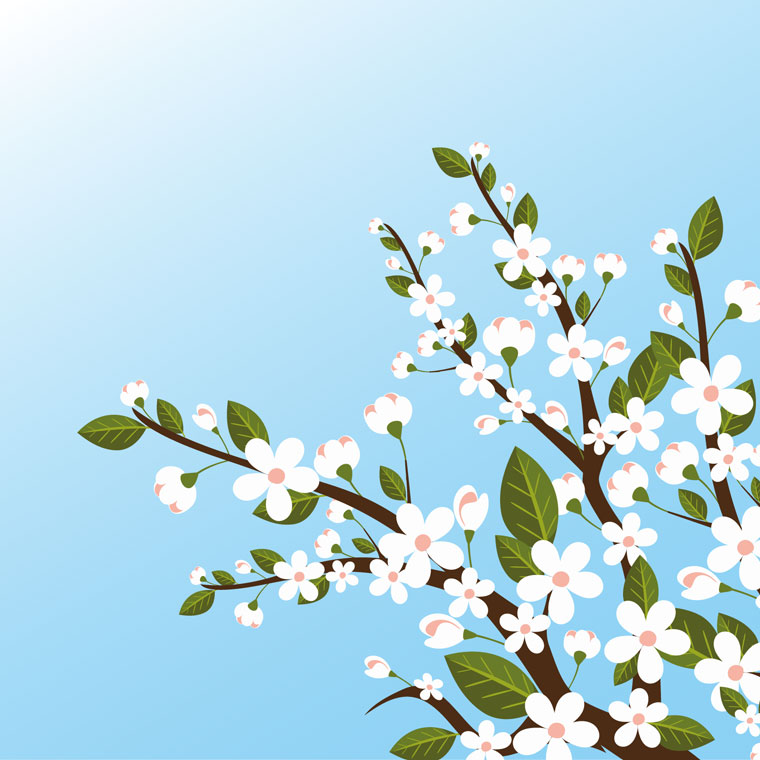 Праздничная программа "Весна Победы", посвященная Дню Победы в Великой Отечественной войне