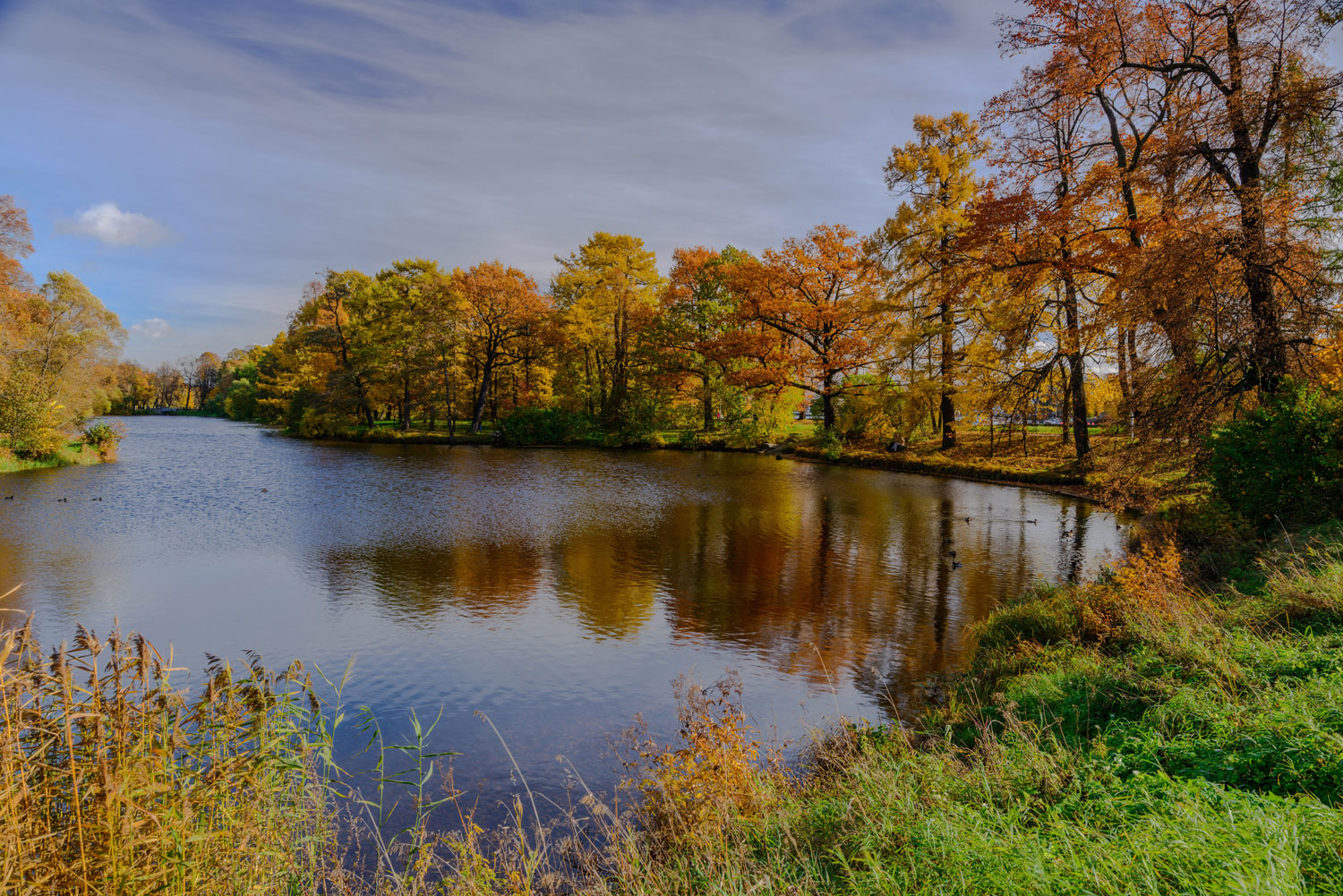One of the lakes in Kirov Park, image found at https://elaginpark.org/nature/flora-i-fauna/prudy/
