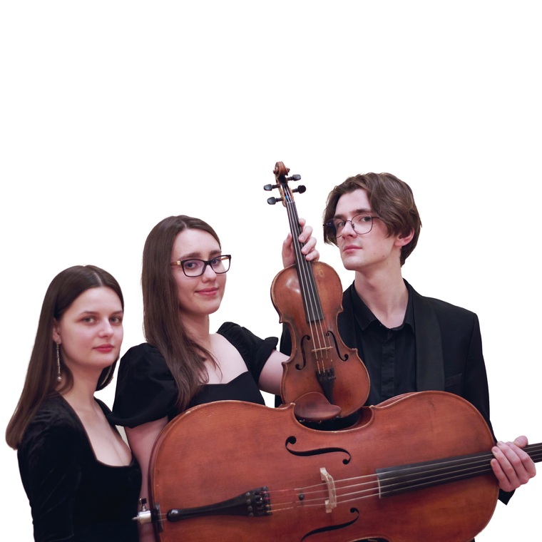 Елагинские вечера. Вечер камерной музыки. Фортепианный ансамбль "Теллур-трио"